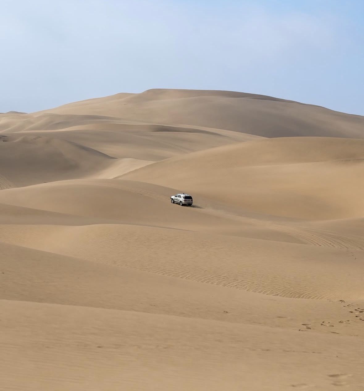 Sandwich Harbour 4x4 guided tours(Includes Cruise ship pick up)