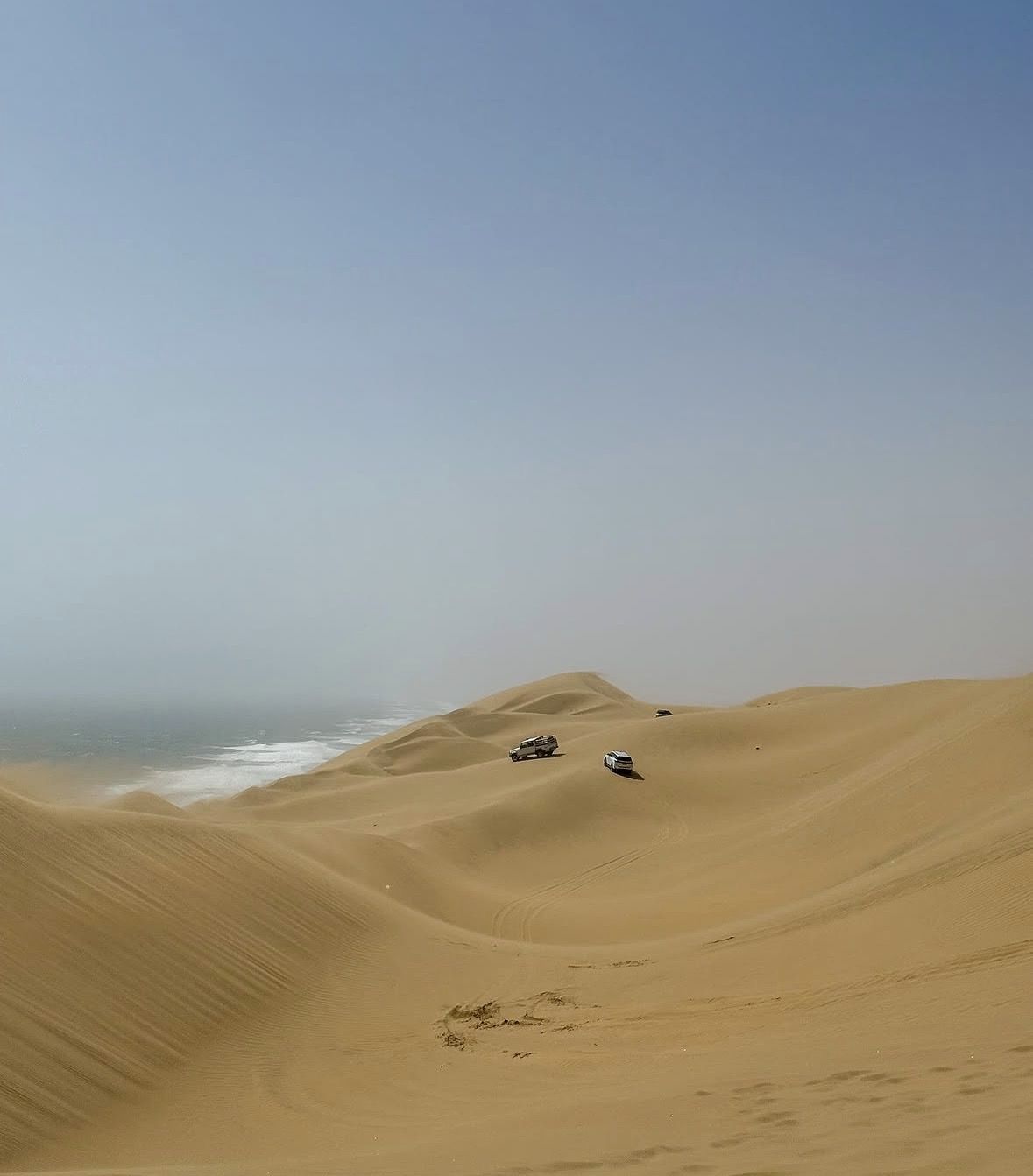 Sandwich Harbour Adventure: Seals and Sandwich harbour dune drive